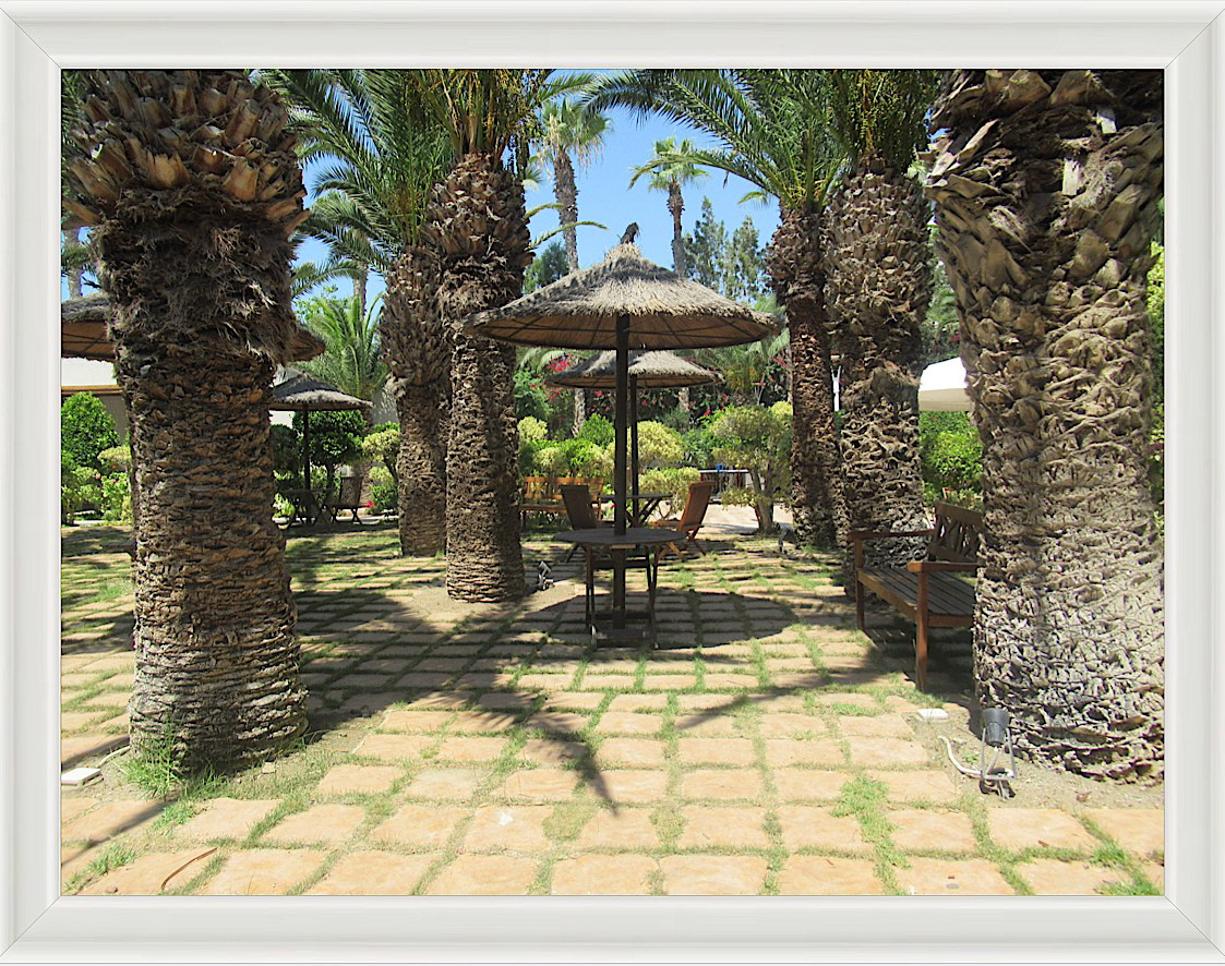 Photo #21- Perekklisia, Cyprus 