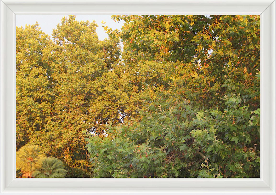 Photo #29- Madrid Park, Spain 