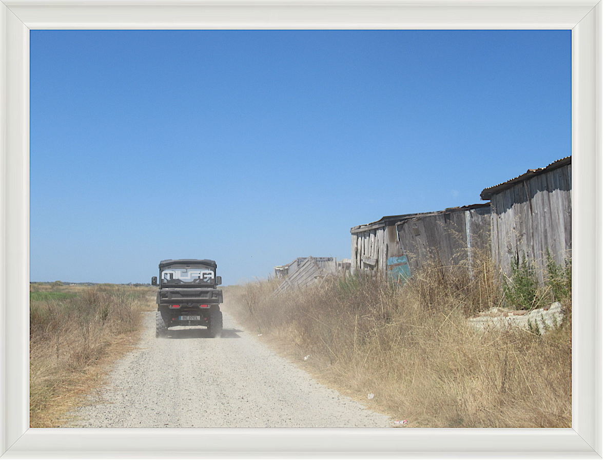 Photo #106- Comporta, Portugal