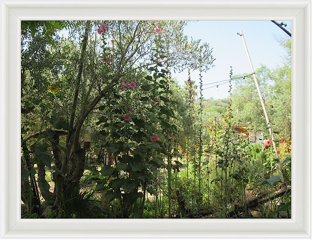 Photo#2- Haifa, Israel 