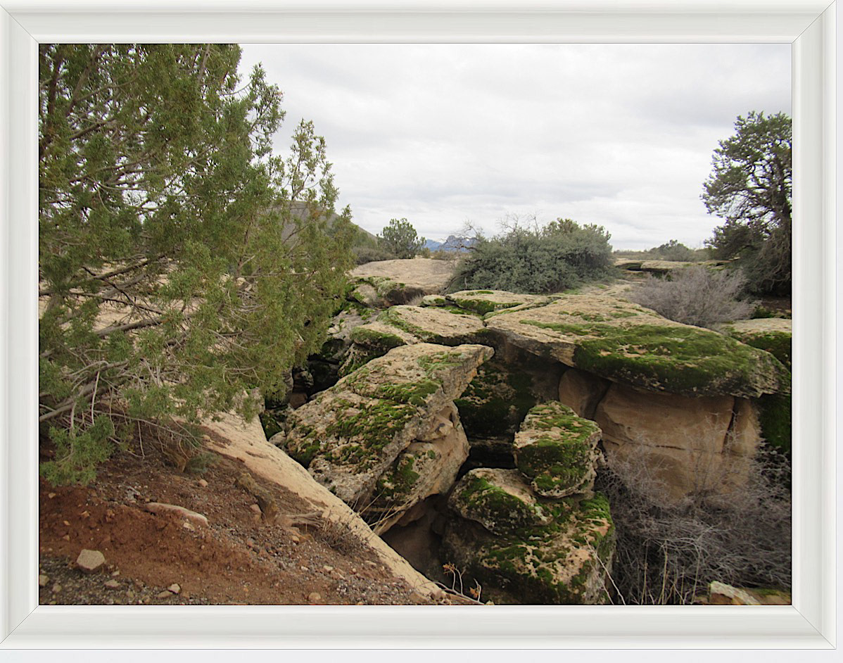 Photo #57- Zion National Park, Utah 