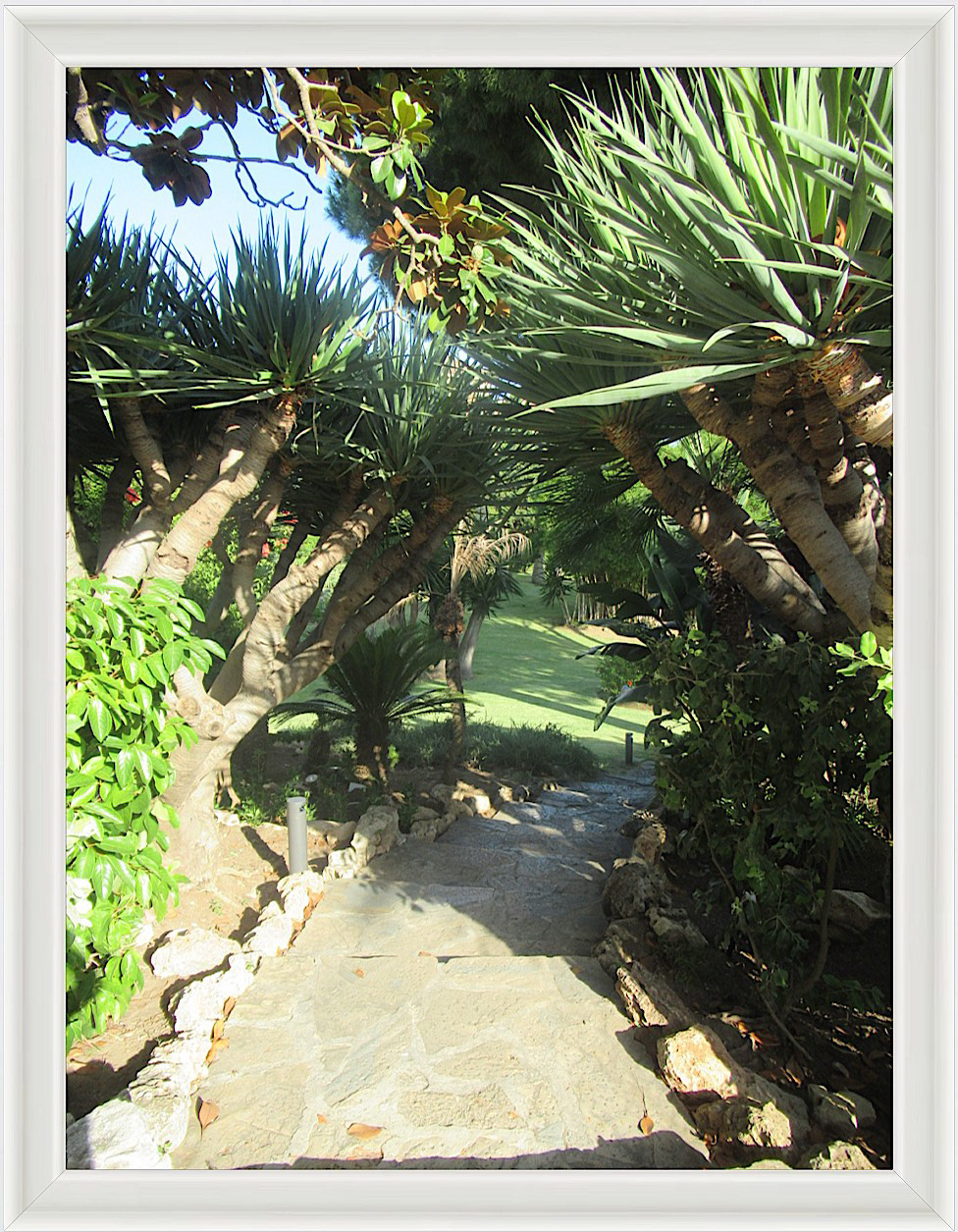 Photo #24- Marbella, Spain 