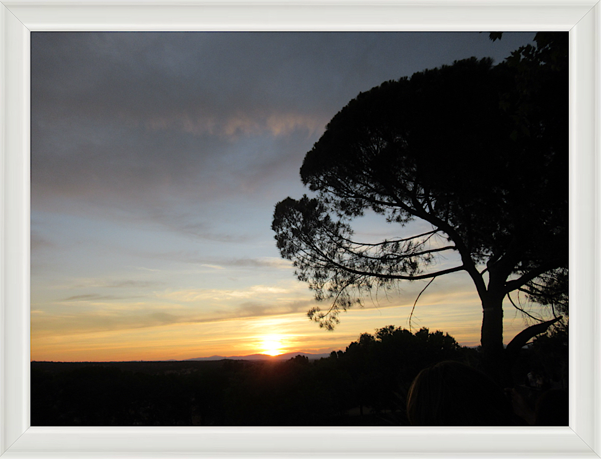 Photo #10- Madrid Park, Spain 