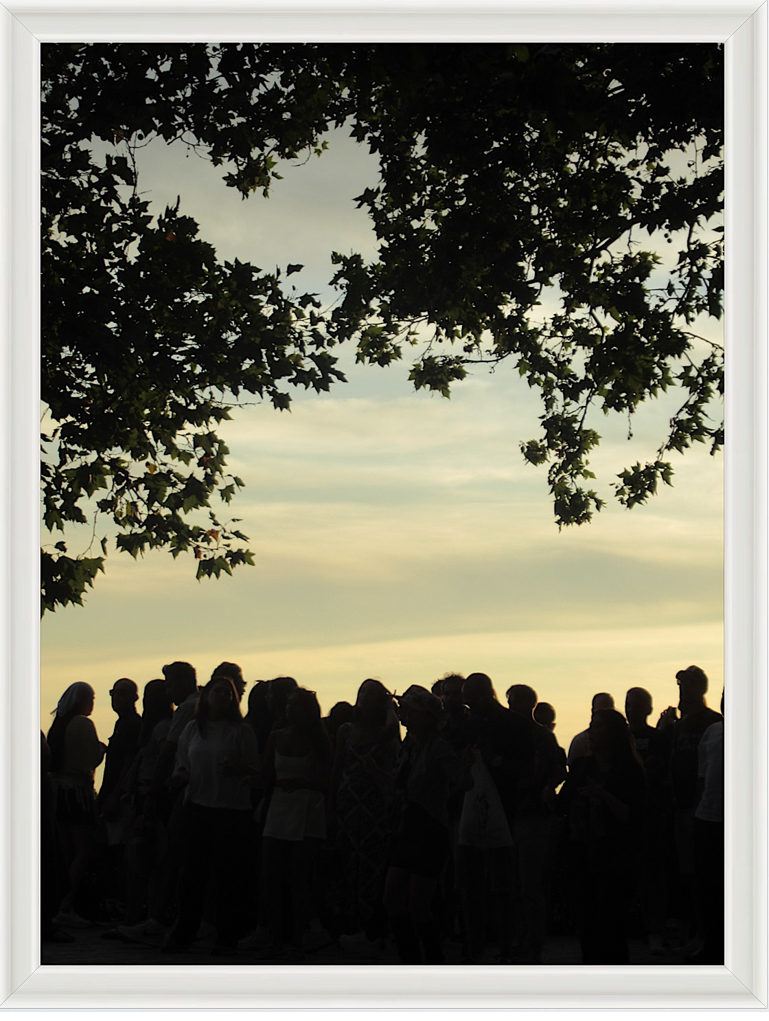 Photo #6- Madrid Park, Spain 