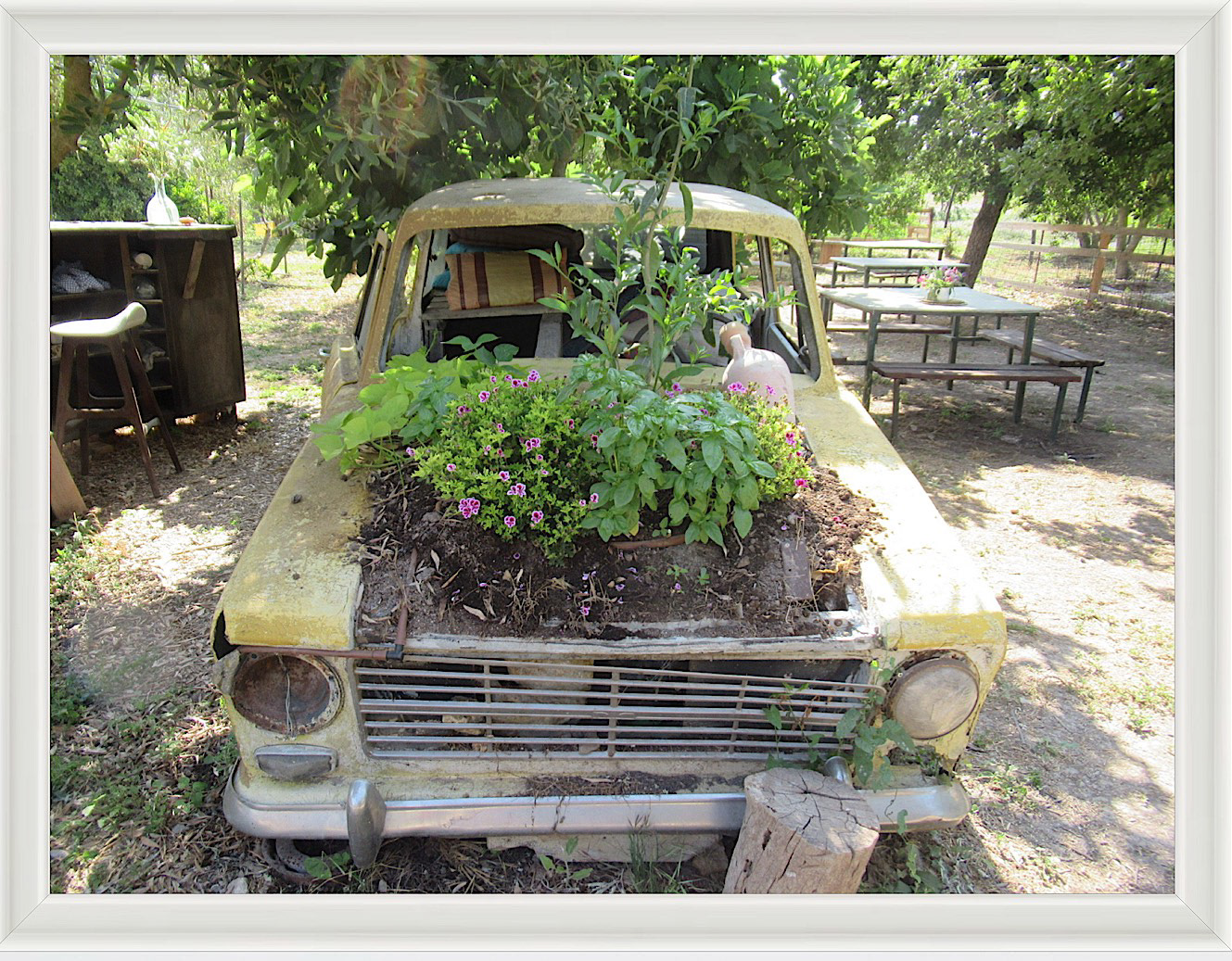 Photo #47- Garden- Haifa, Israel 