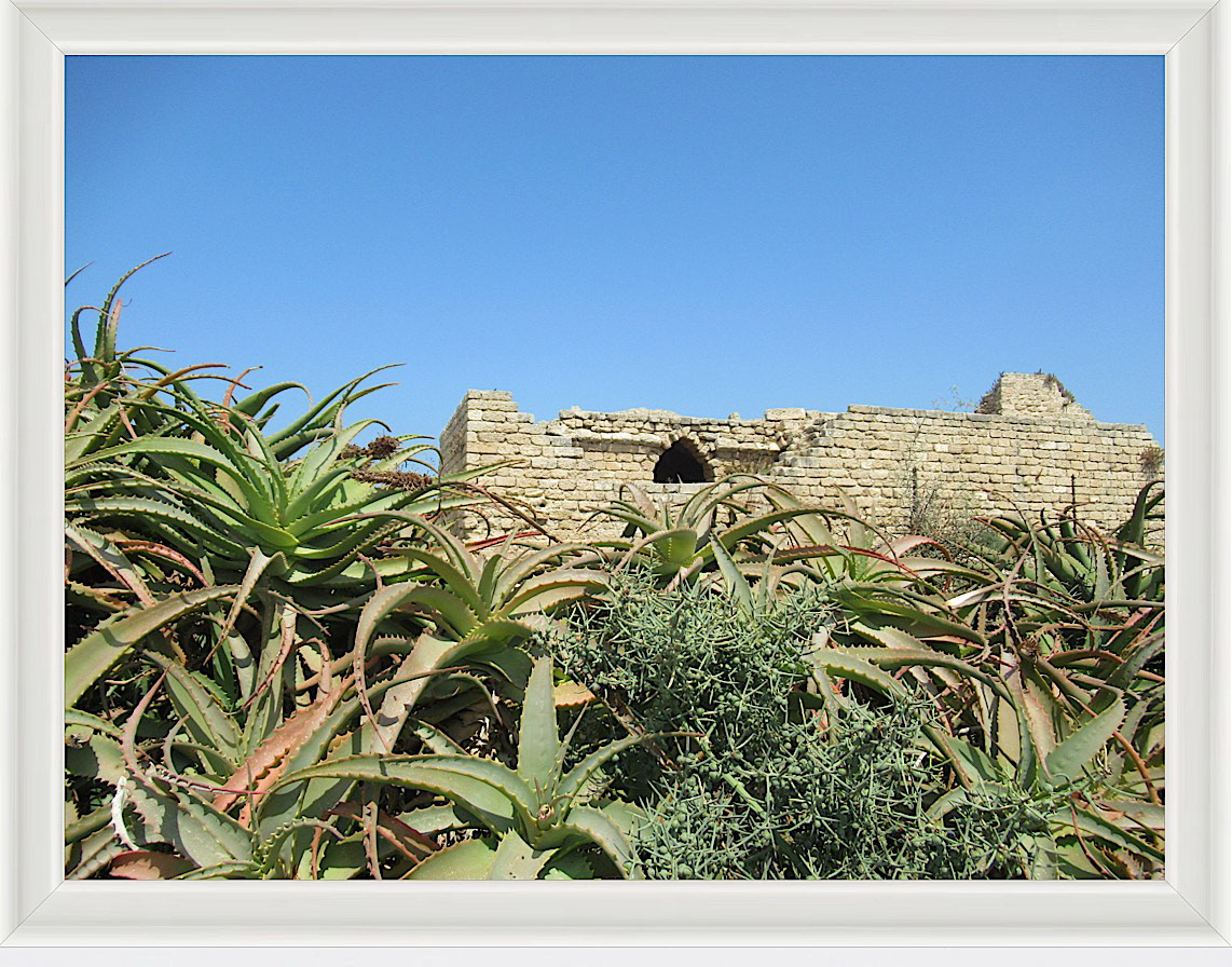 Photo #16- Haifa, Israel 