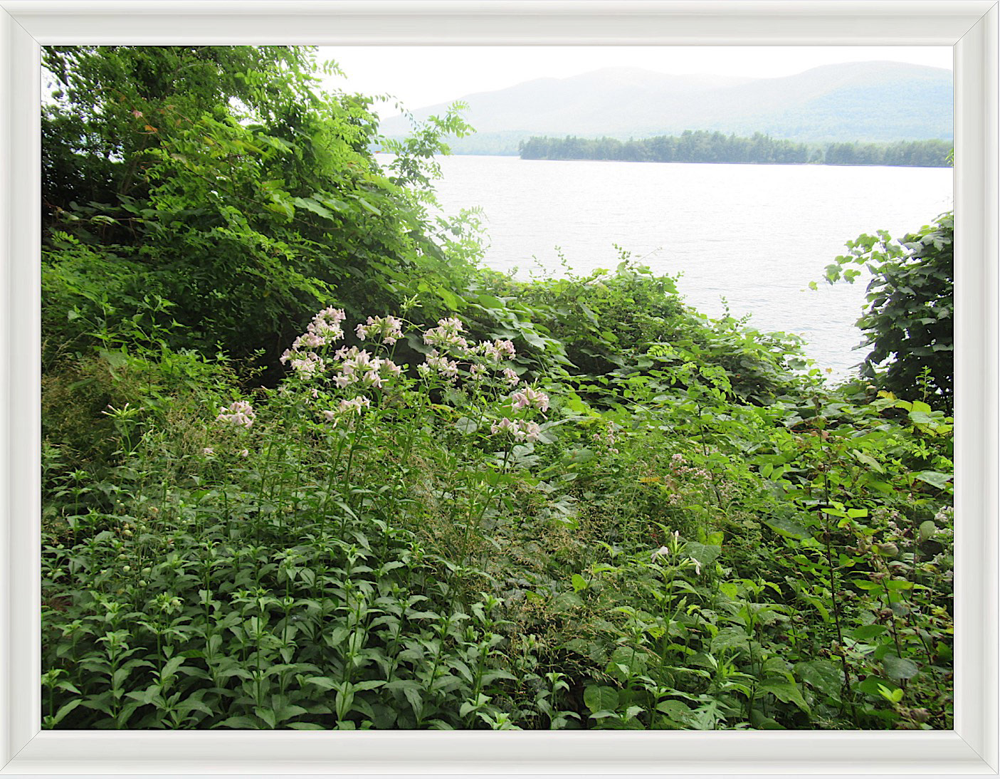Photo #23- Upstate NY 