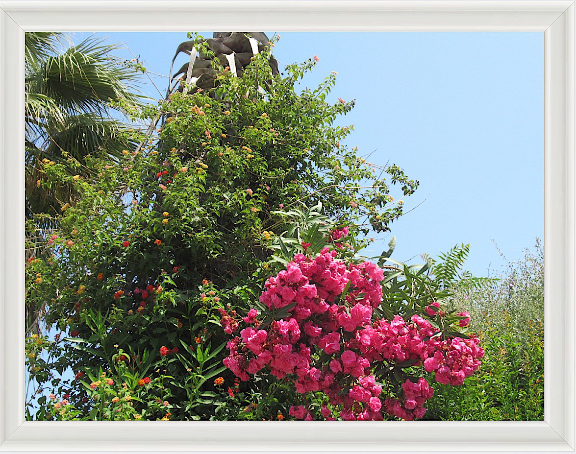 Photo #20- Tel Aviv, Israel 