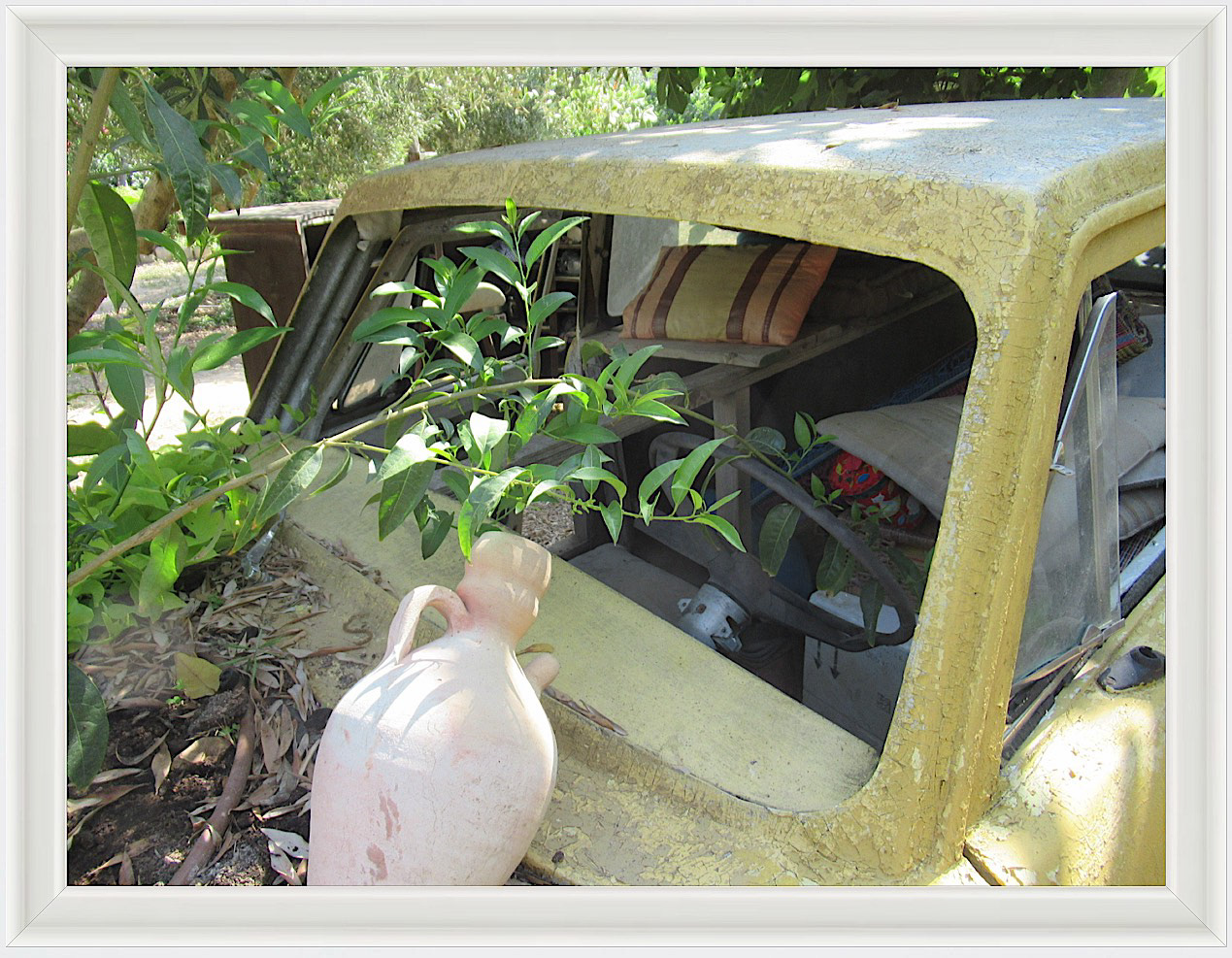 Photo #48- Garden- Haifa, Israel 