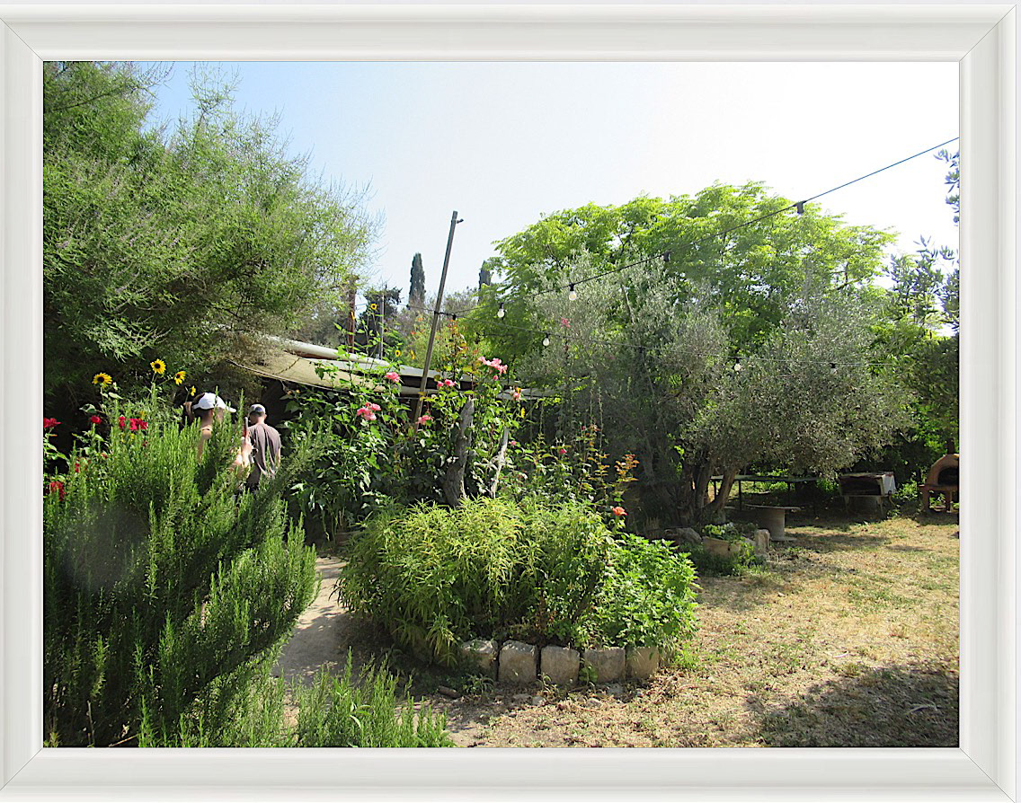 Photo #17- Garden - Haifa, Israel 