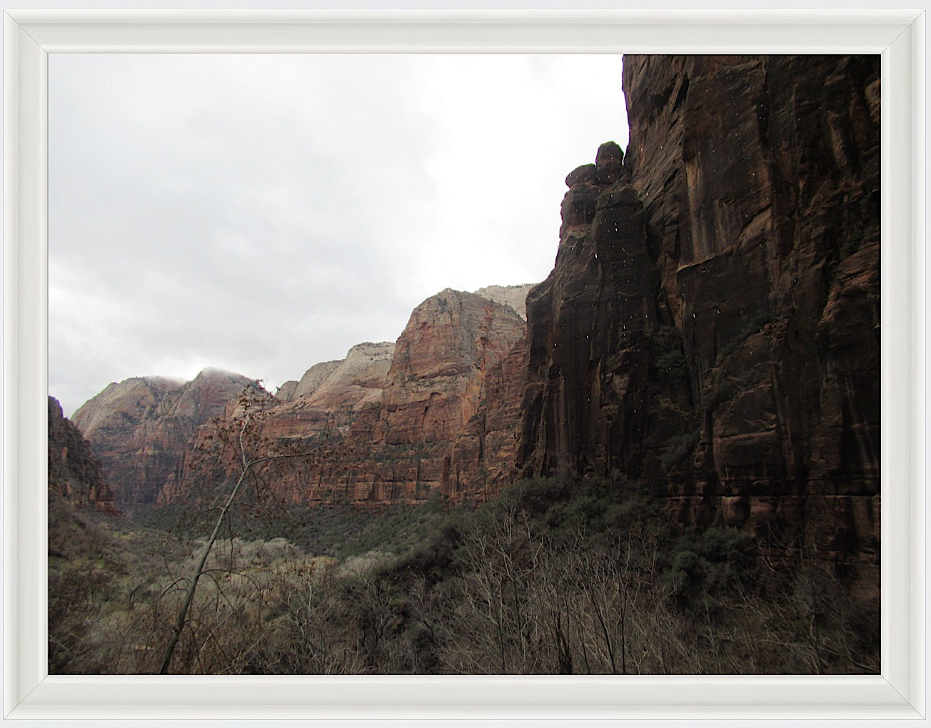 Photo #53- Zion National Park, Utah 