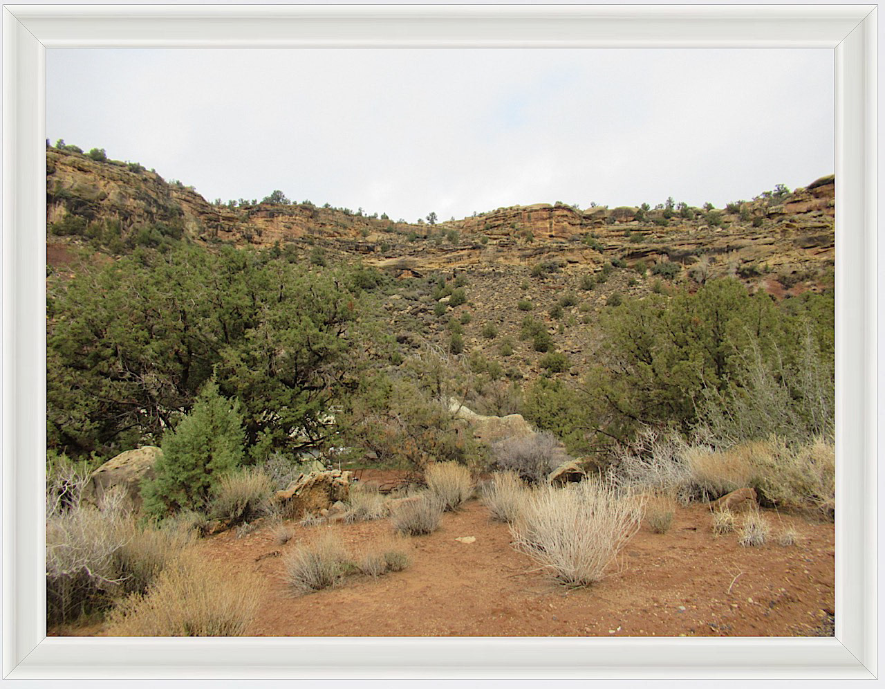 Photo #50 - Zion National Park, Utah 