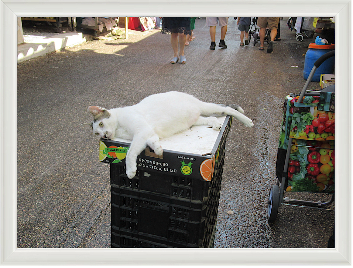 Photo #12- Tel Aviv, Israel 