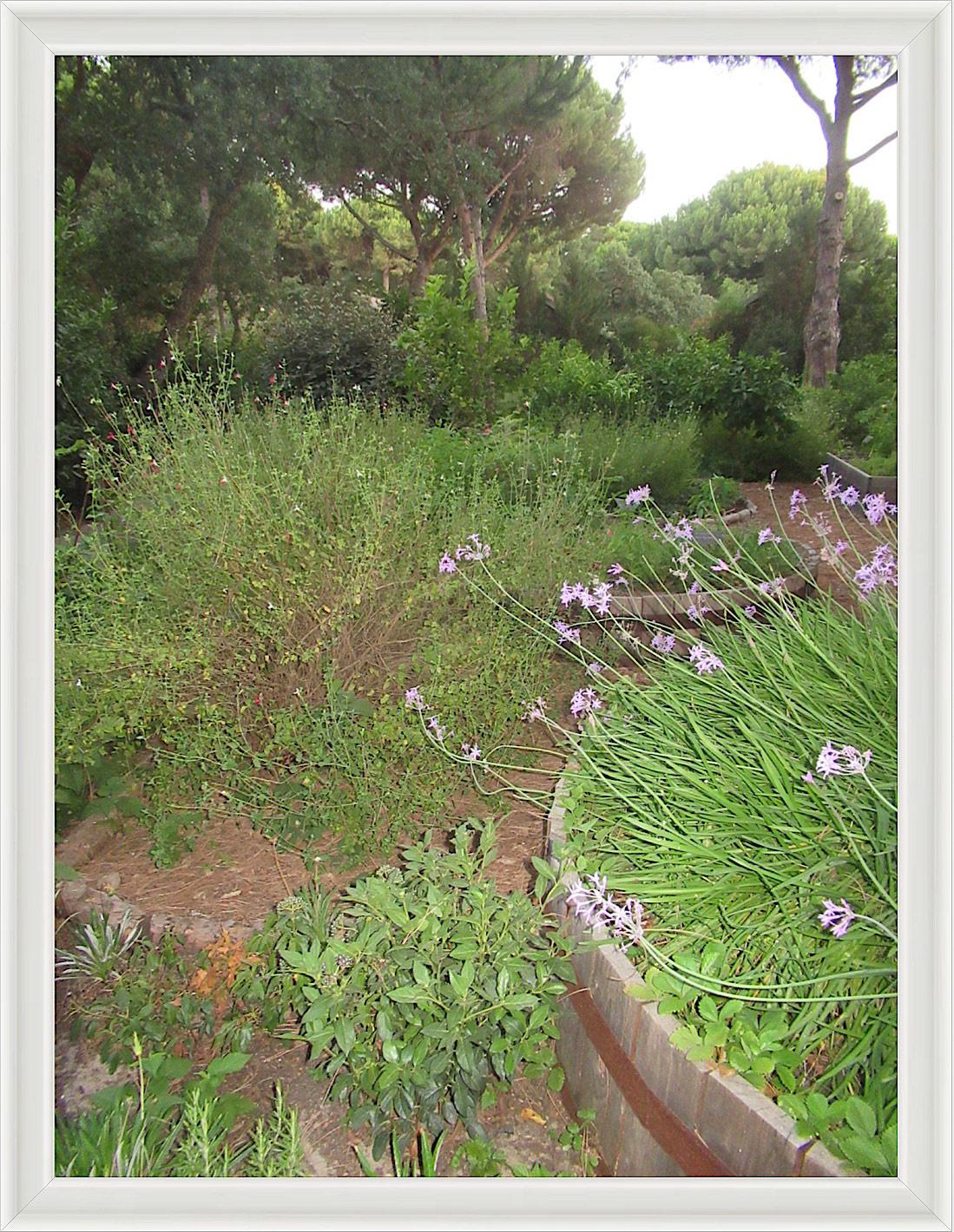 Photo #32- Comporta, Portugal