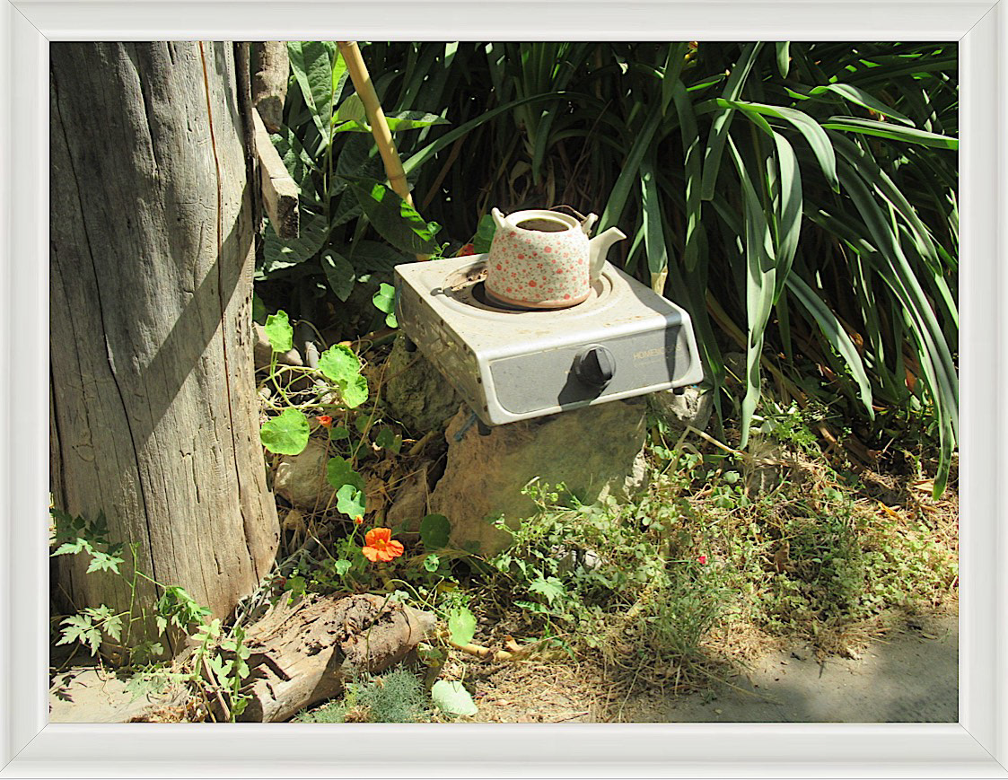 Photo #19- Garden - Haifa, Israel 