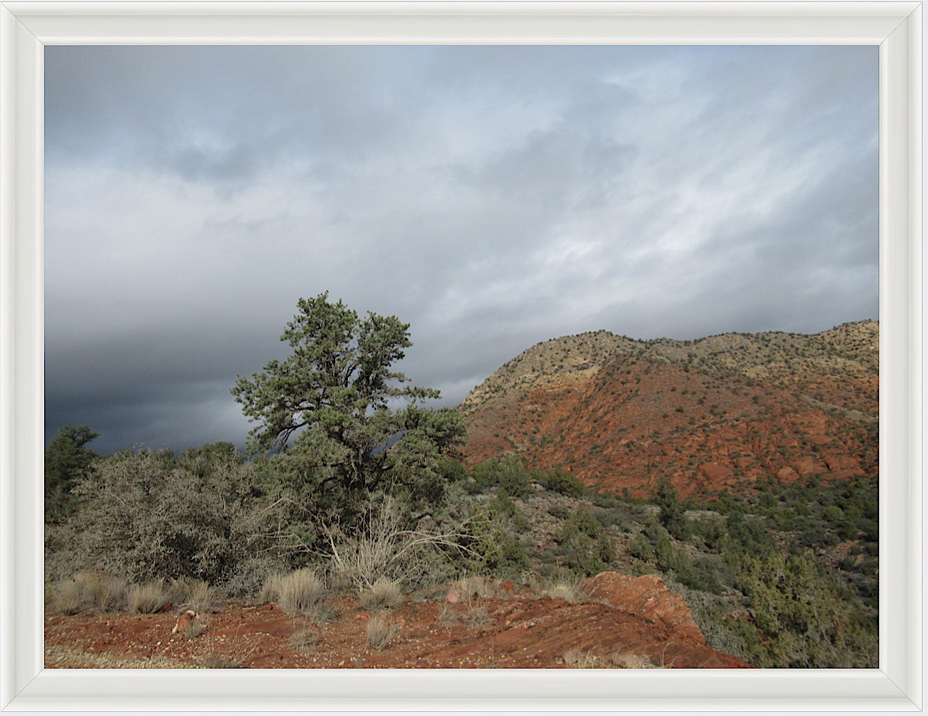 Photo #59- Zion National Park, Utah 