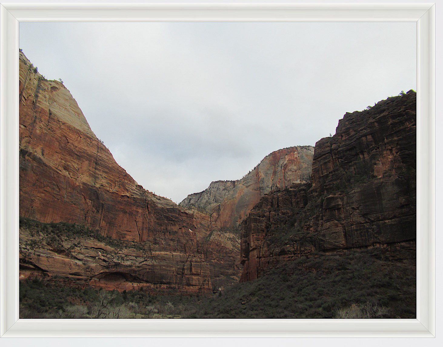 Photo #55- Zion National Park, Utah 