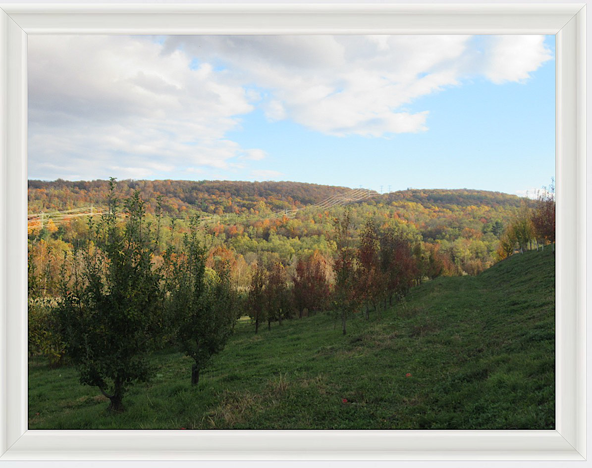 Photo #46- Upstate NY 