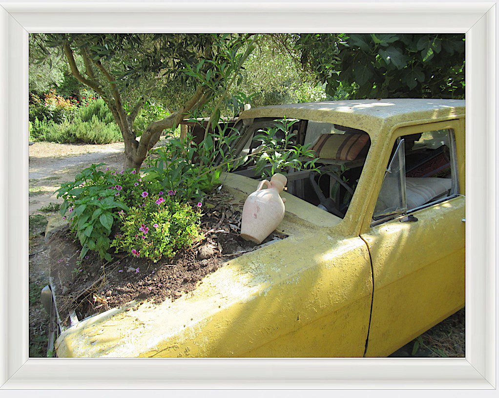 Photo #49- Garden- Haifa, Israel 