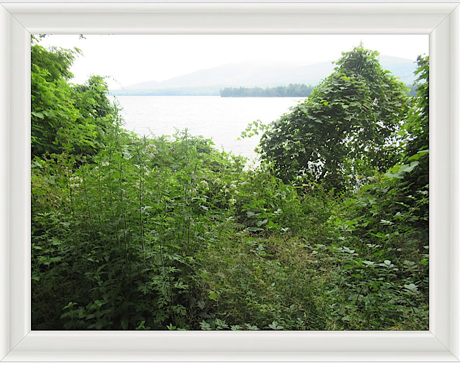 Photo #22- Upstate NY 