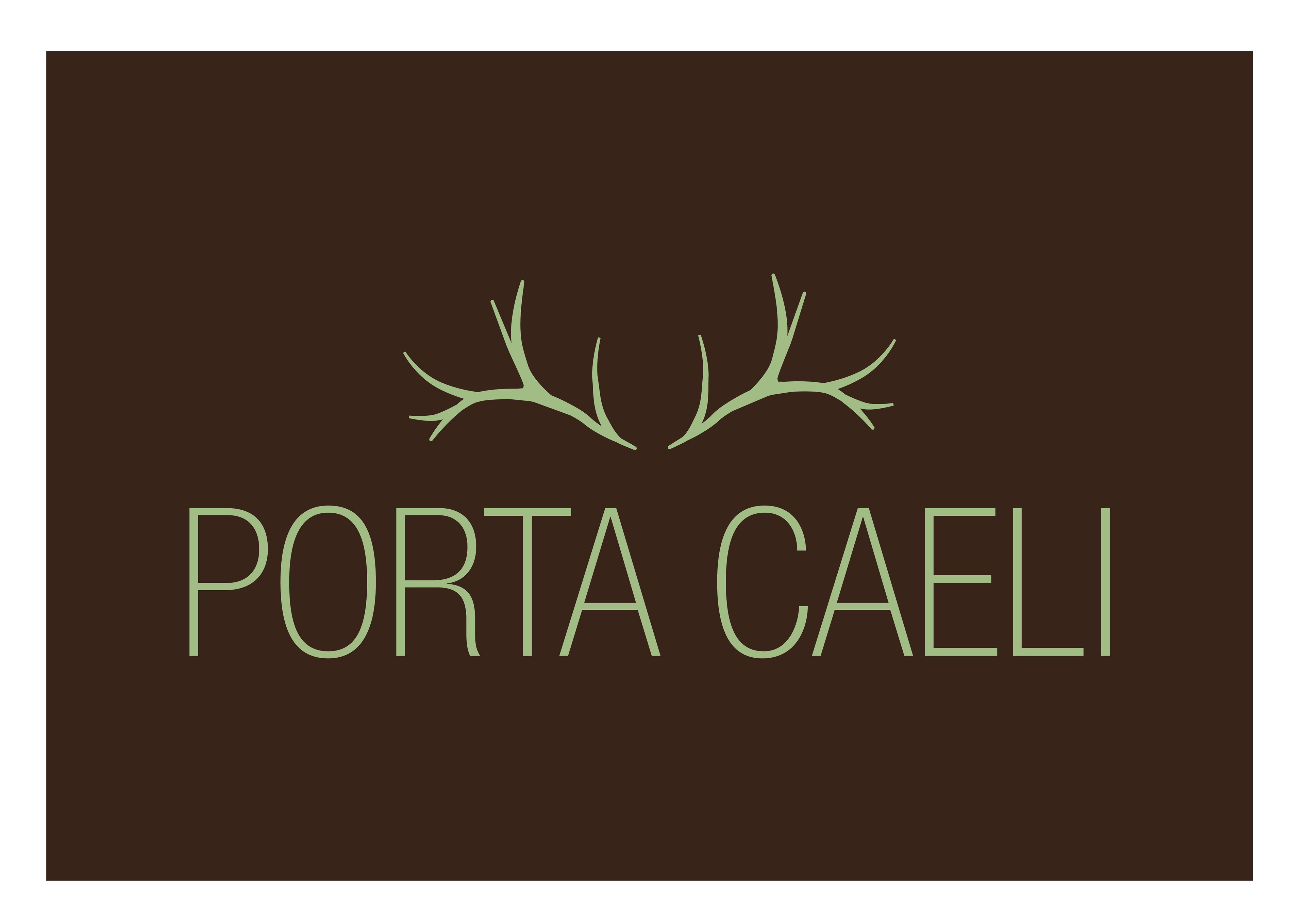 Reversed Logo for an All-Inclusive Mountain Climbing Travels