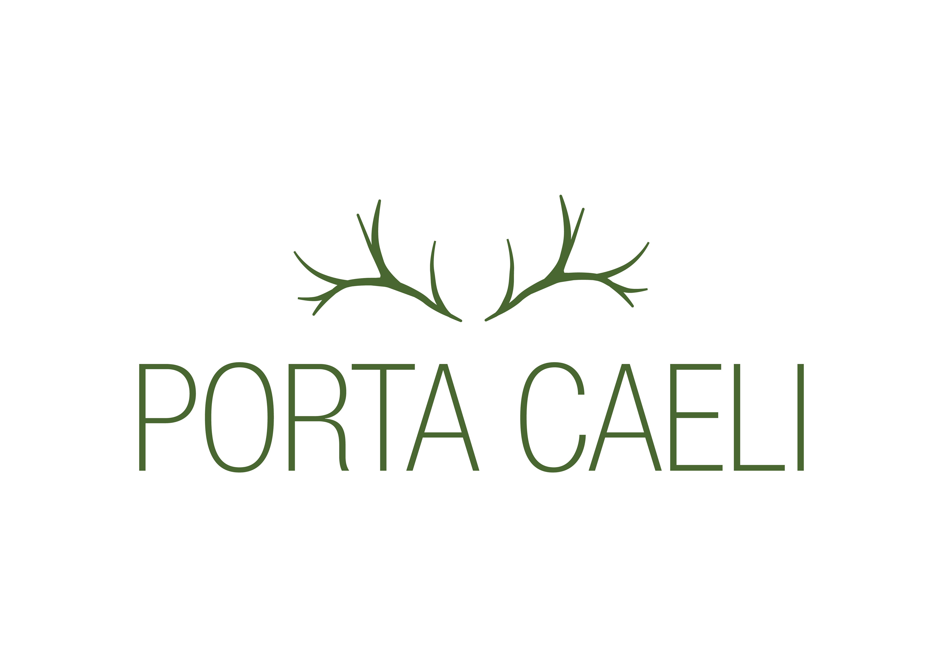 Logo for an All-Inclusive Mountain Climbing Travels
