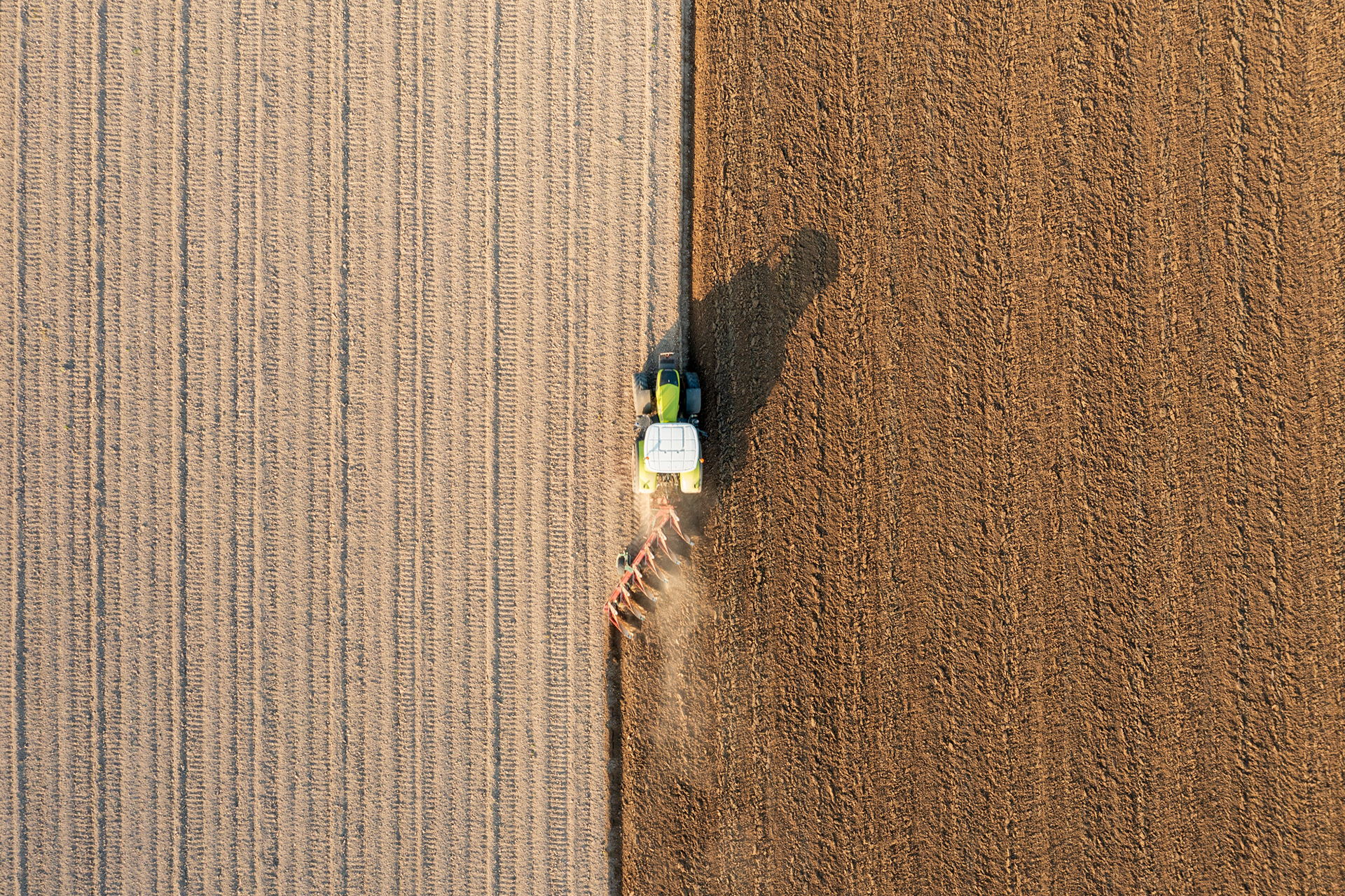 Agricultural Art #14