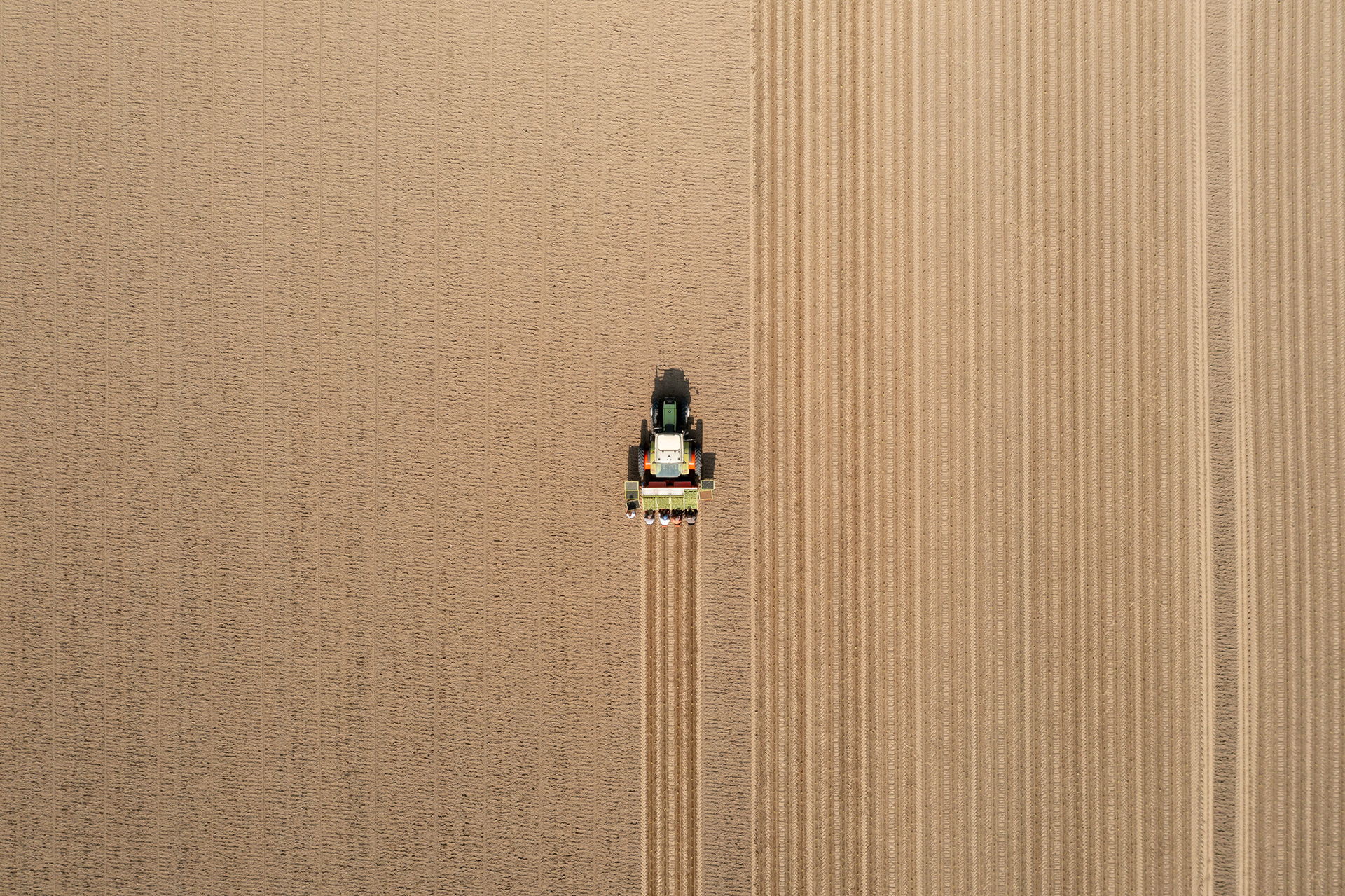 Agricultural Art #15