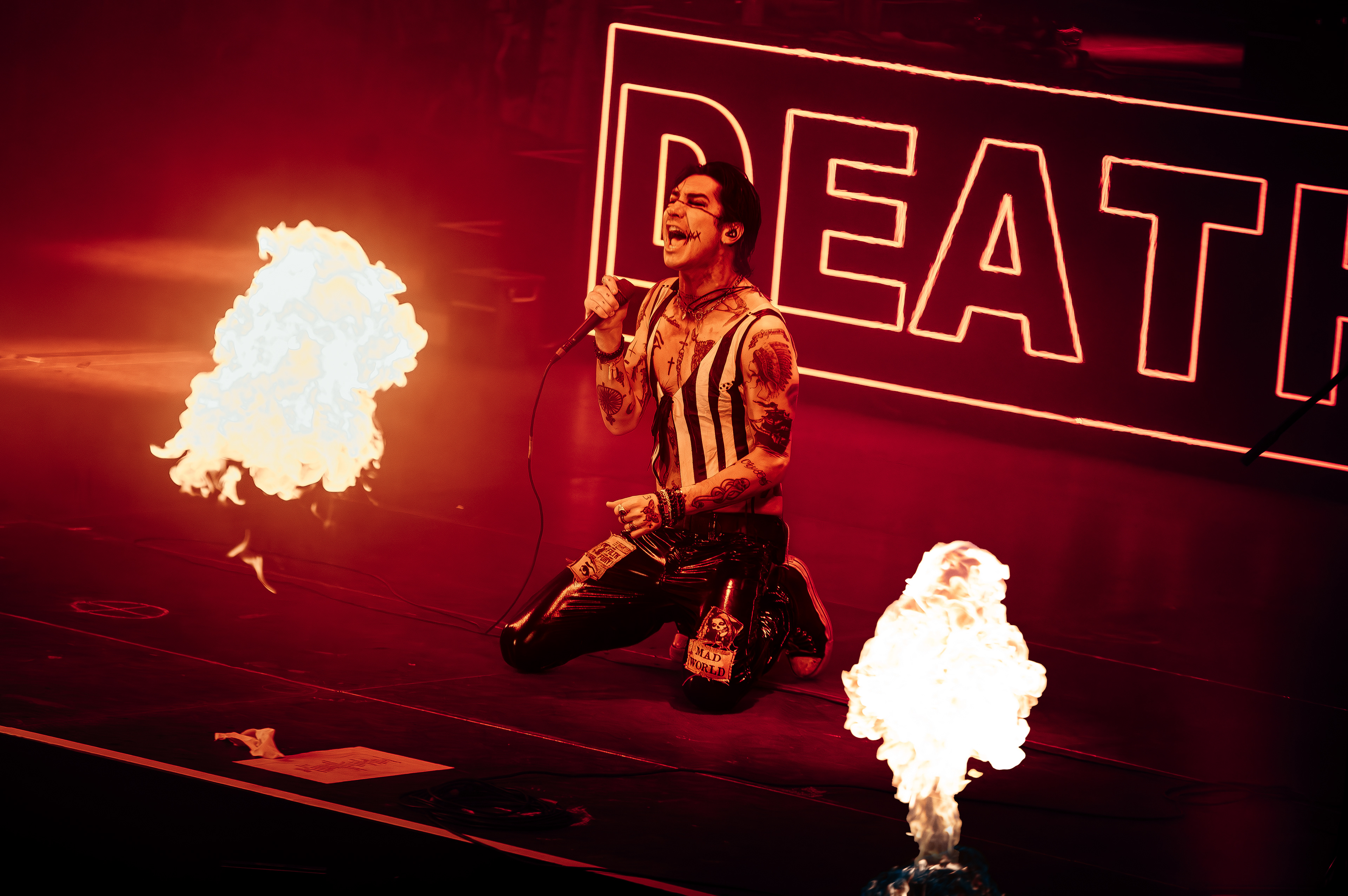 Palaye Royale | 2024