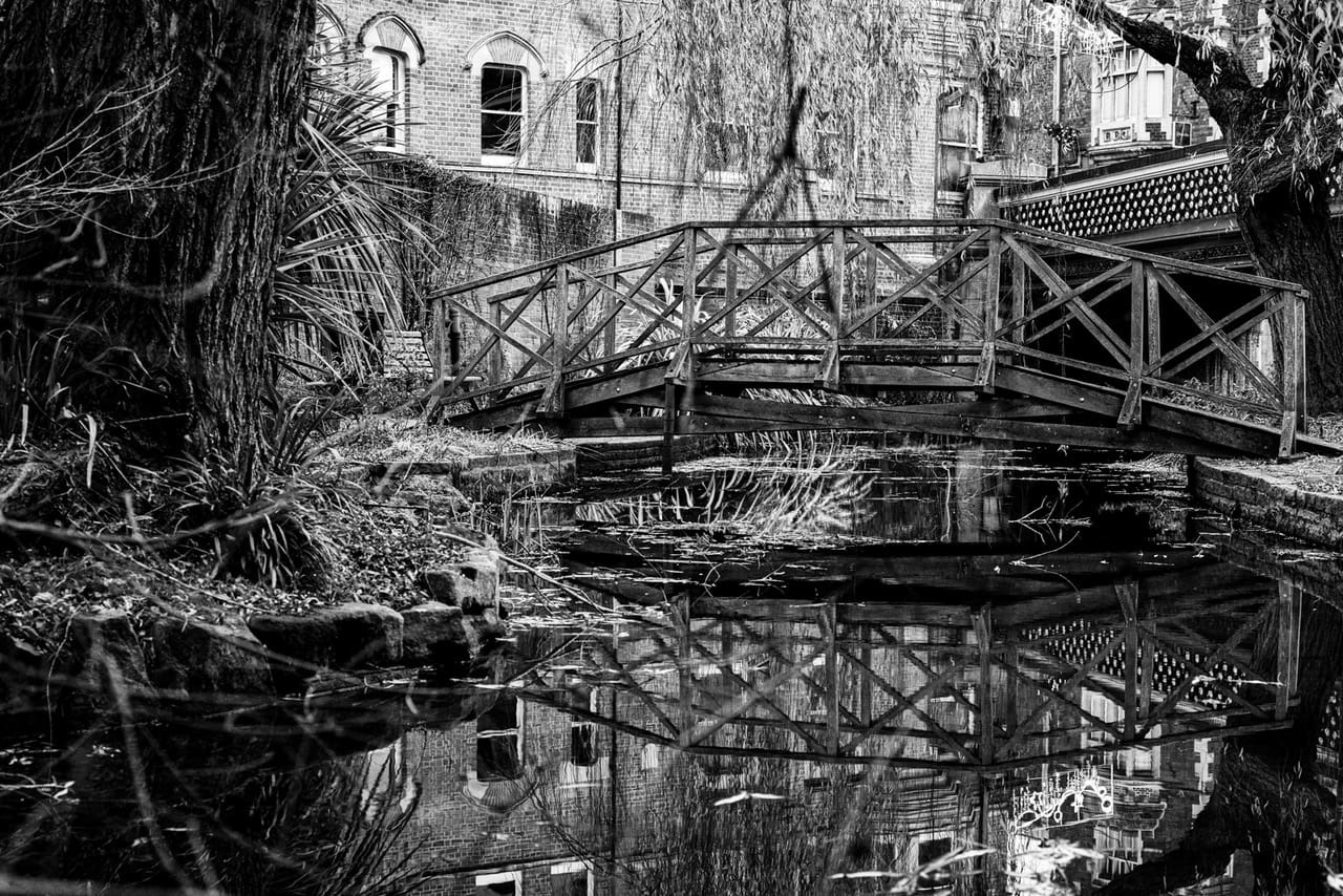 Bridged Reflections_Roger Stephens