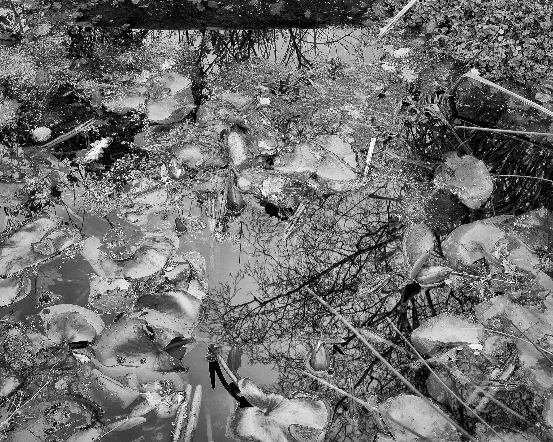 Flat Sky Reflection_Tanja