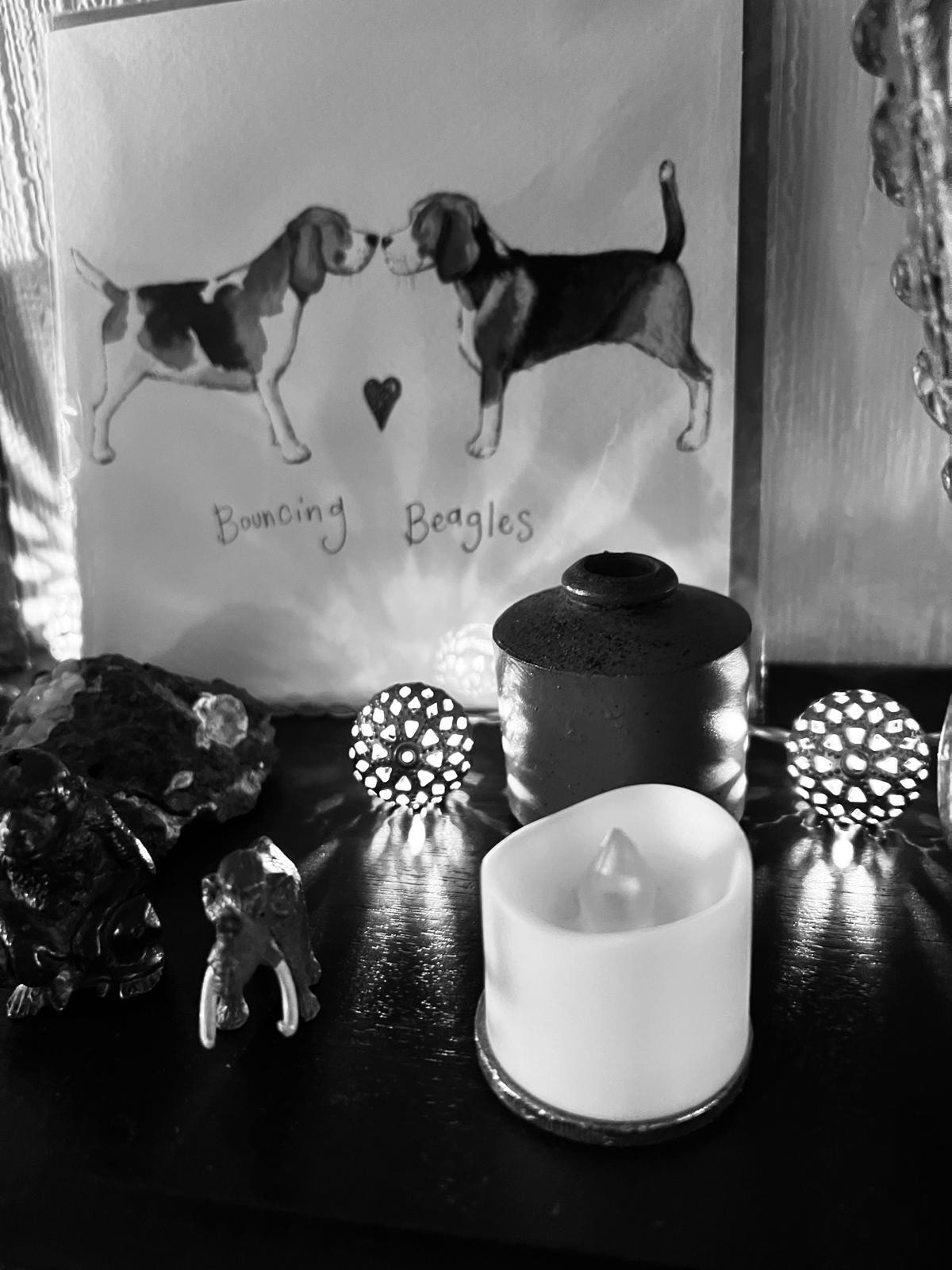 Bouncing Beagles-Gary Scorgie