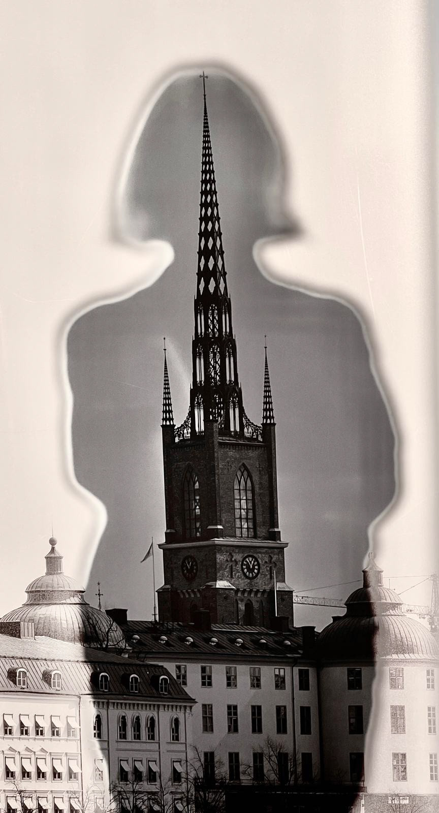 Stockholm Shadow_Diana Moss