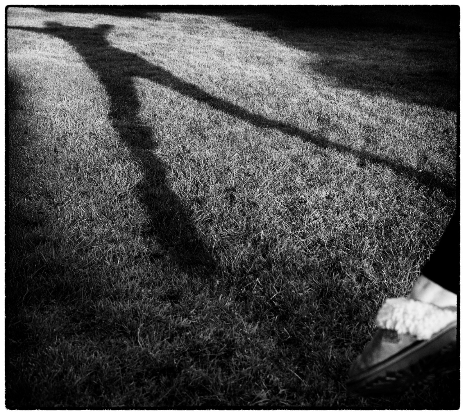 Looooong Shadows_Liz Tarren