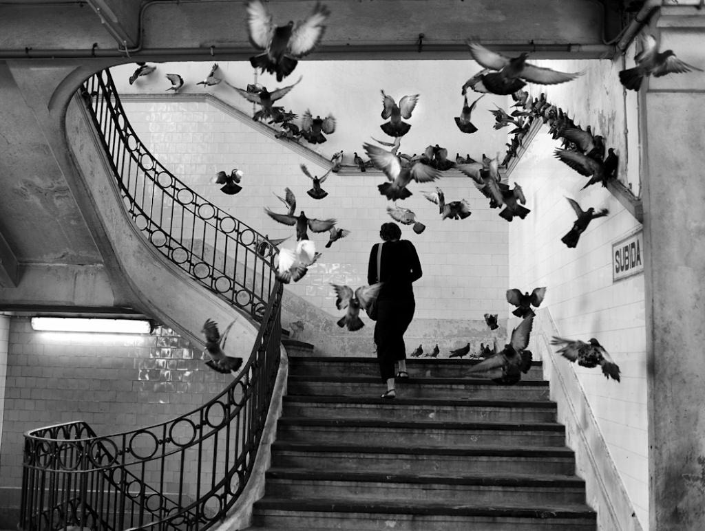 Henri Cartier Bresson
