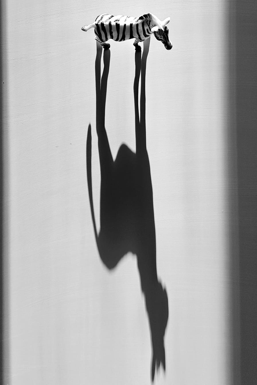 Forgotten Toy_Steve Hart