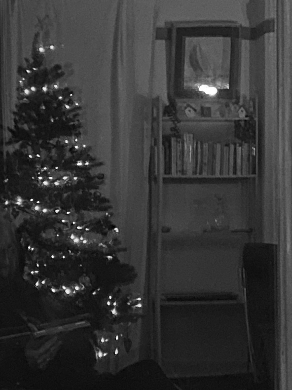 Reflections-Mark Wright