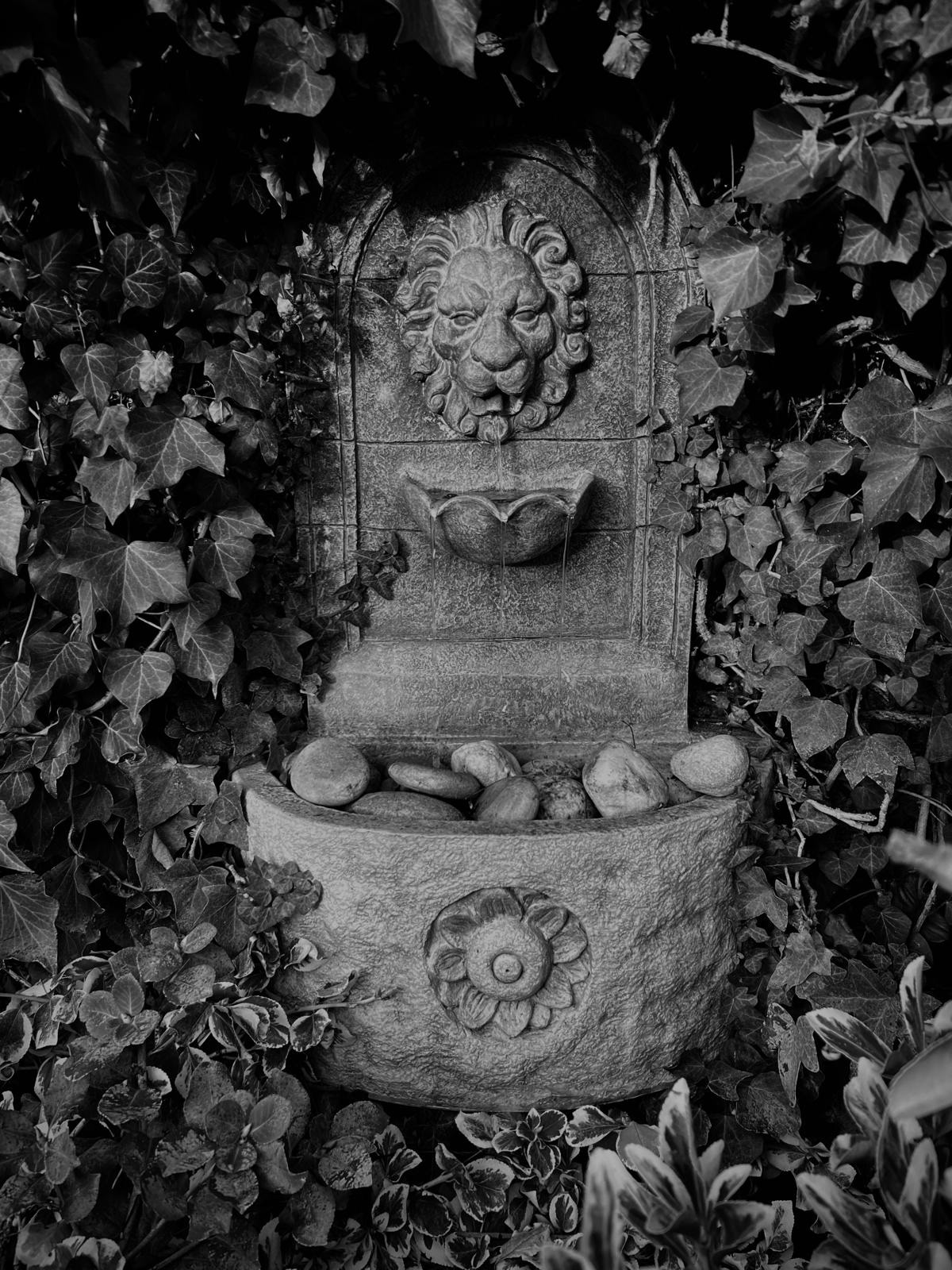 Fountain Shadows_Gary Scorgie