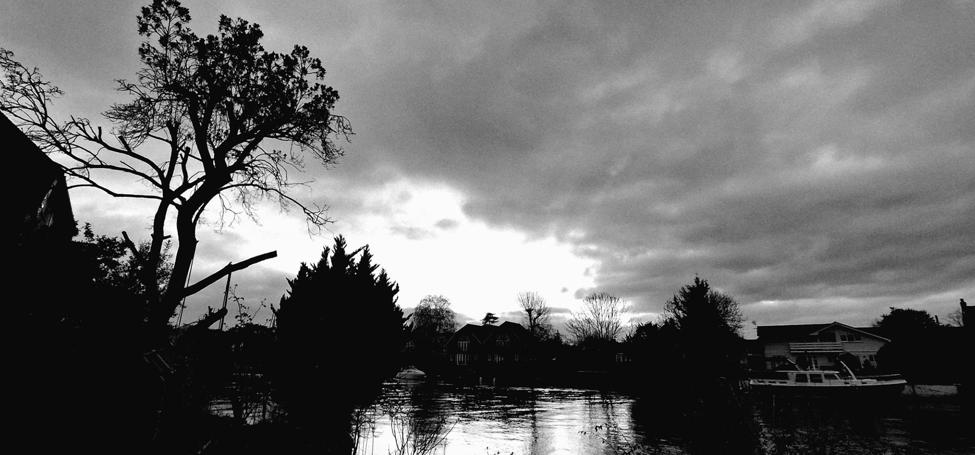 Sunset Silhouettes_David Tompkins