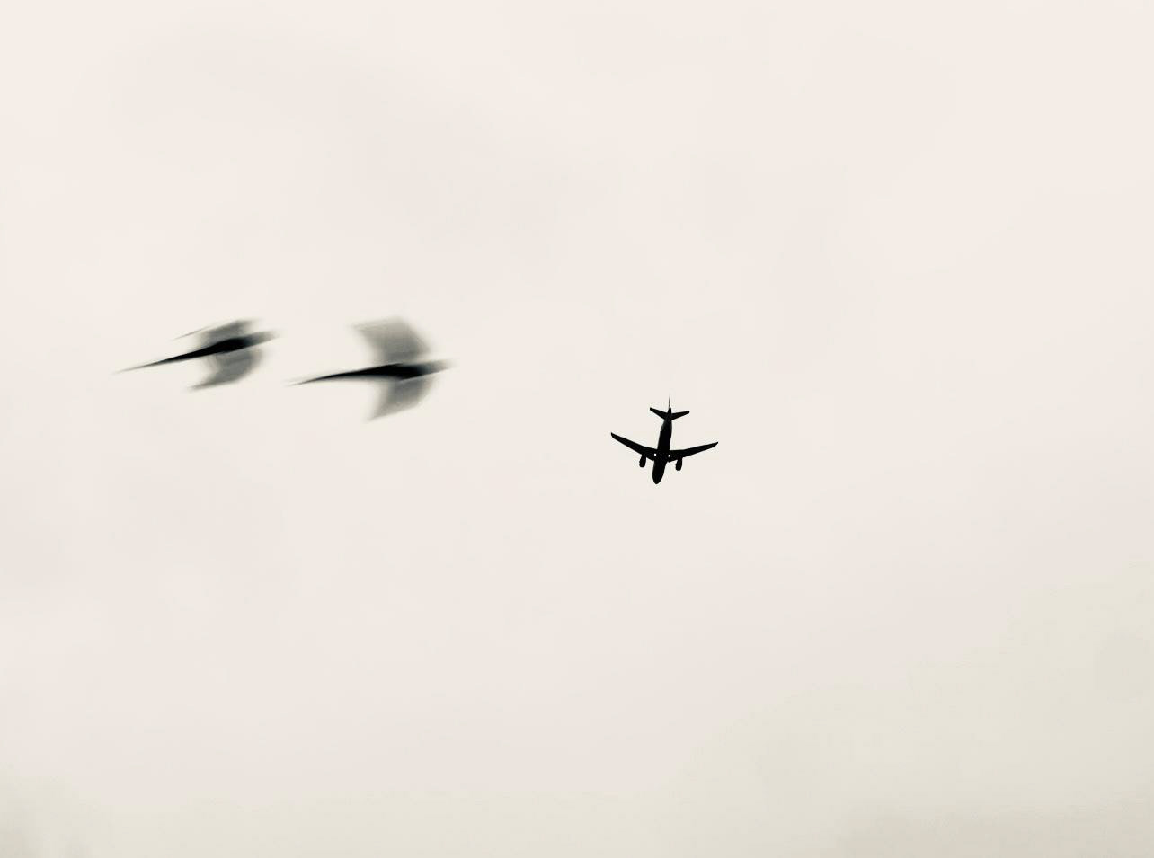 Tonal Reflections_Pilar