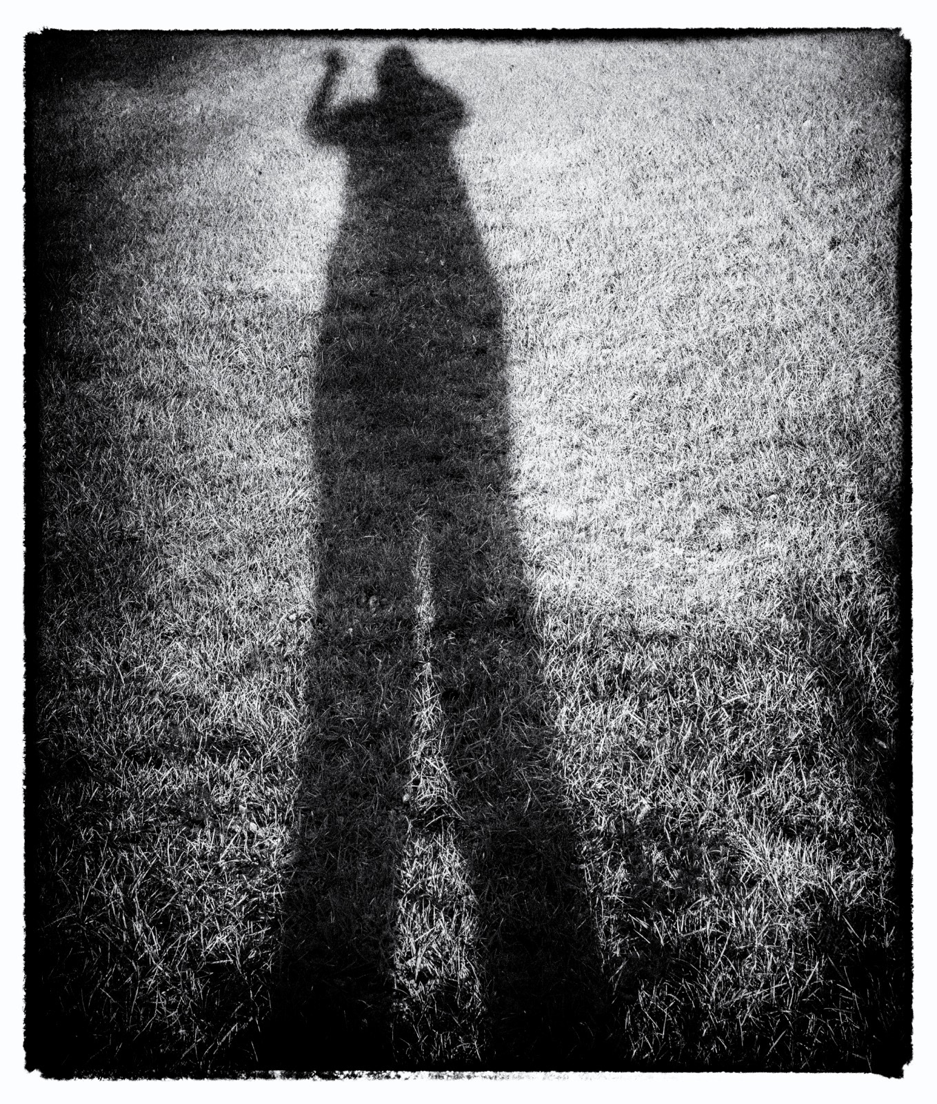 The Sun Came Out_Liz Tarren