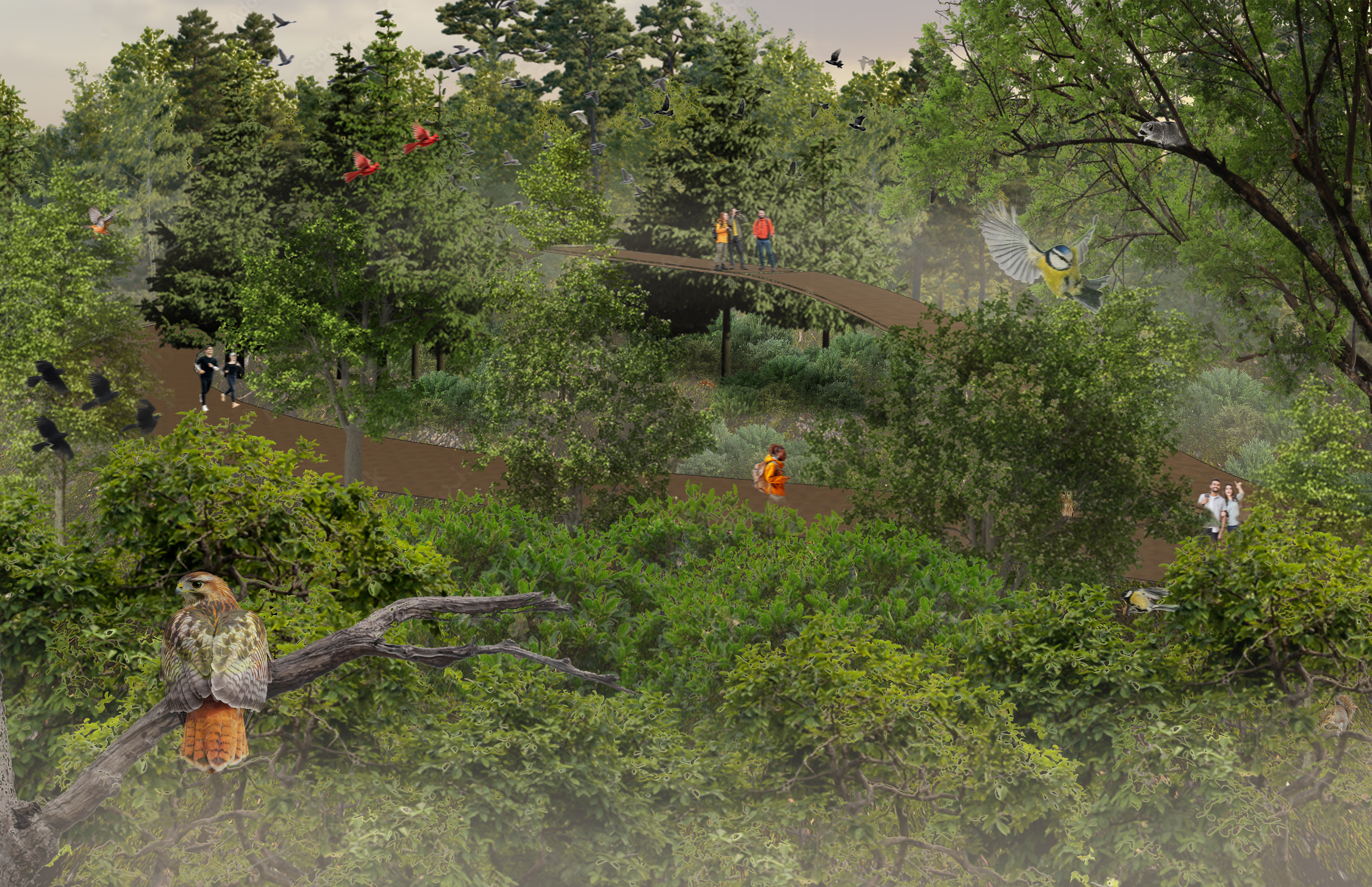  The Treetop Trek (7), an elevated section of the path, lifts visitors into the forest canopy, offering a unique vantage point into the vertical life of the emerging woodland and a rare opportunity to walk among the trees.