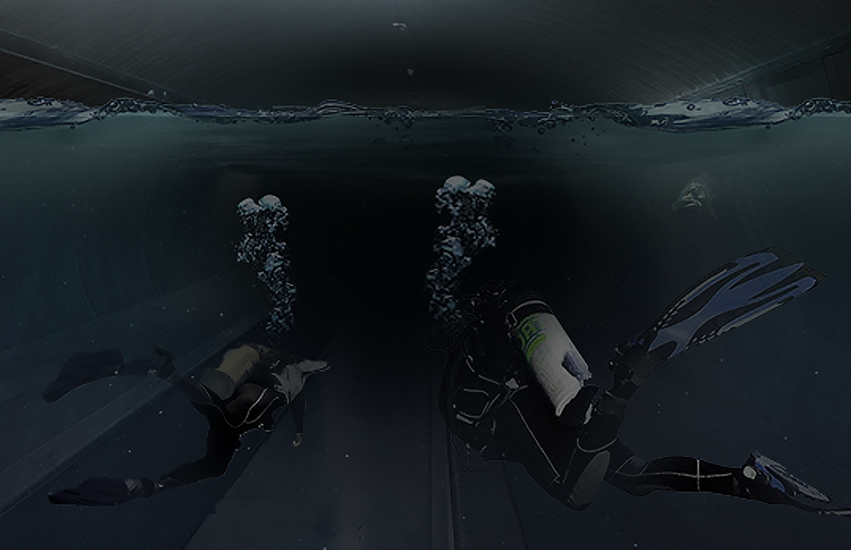 The Final Disconnect Over time, the tunnel is left to erode and flood, severing the physical connection between city and park. In its afterlife, the submerged passage may become a refuge for aquatic species or a quiet, preserved relic; offering divers a new way to explore the layered history of the site.