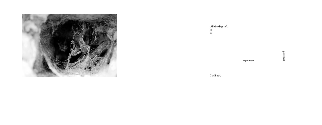 Pages of the Book