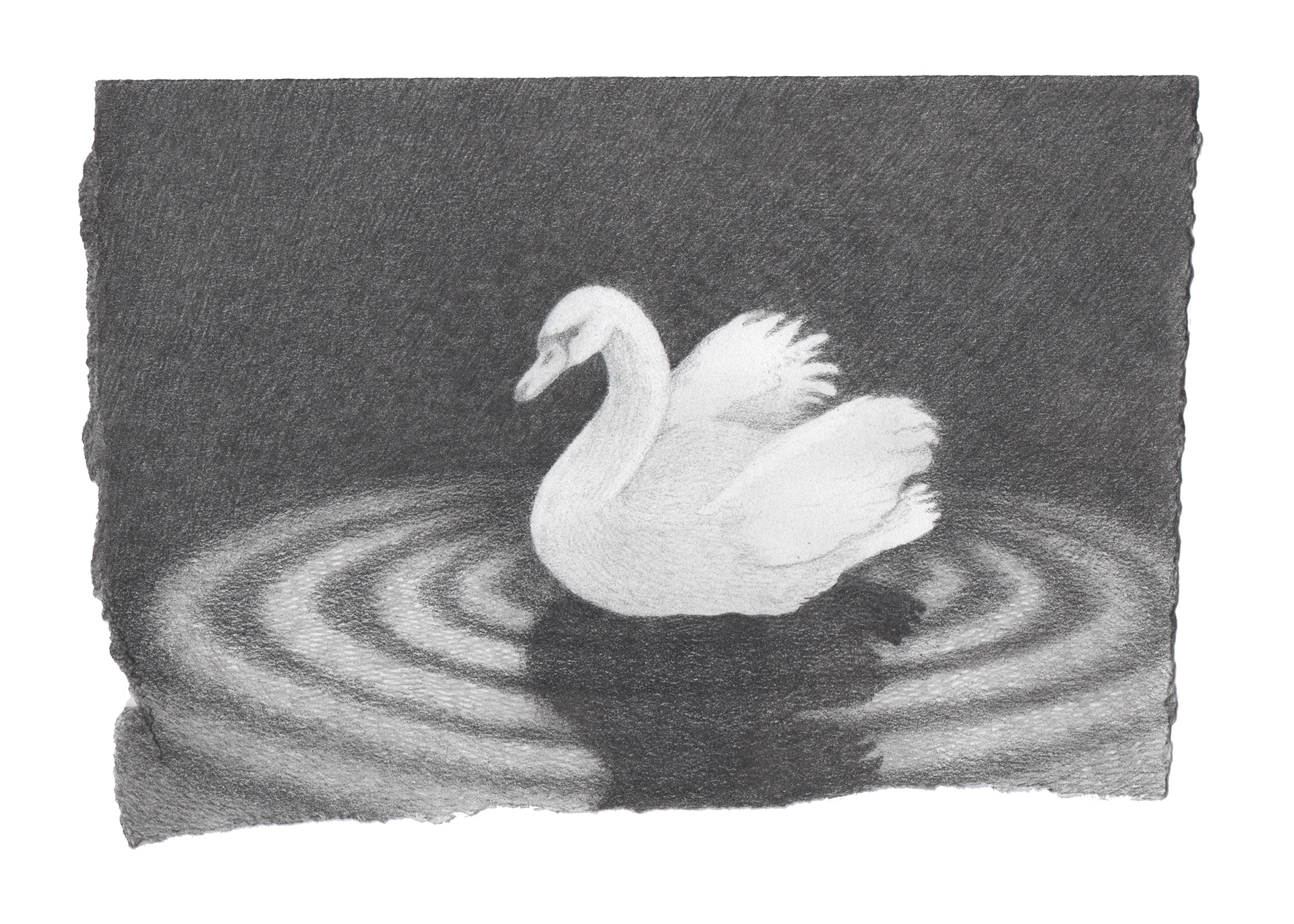 Schwanensee, Op. 20: Act Ill No. 18: Scene, 2025, graphite on paper 6.25 x 9 inches.