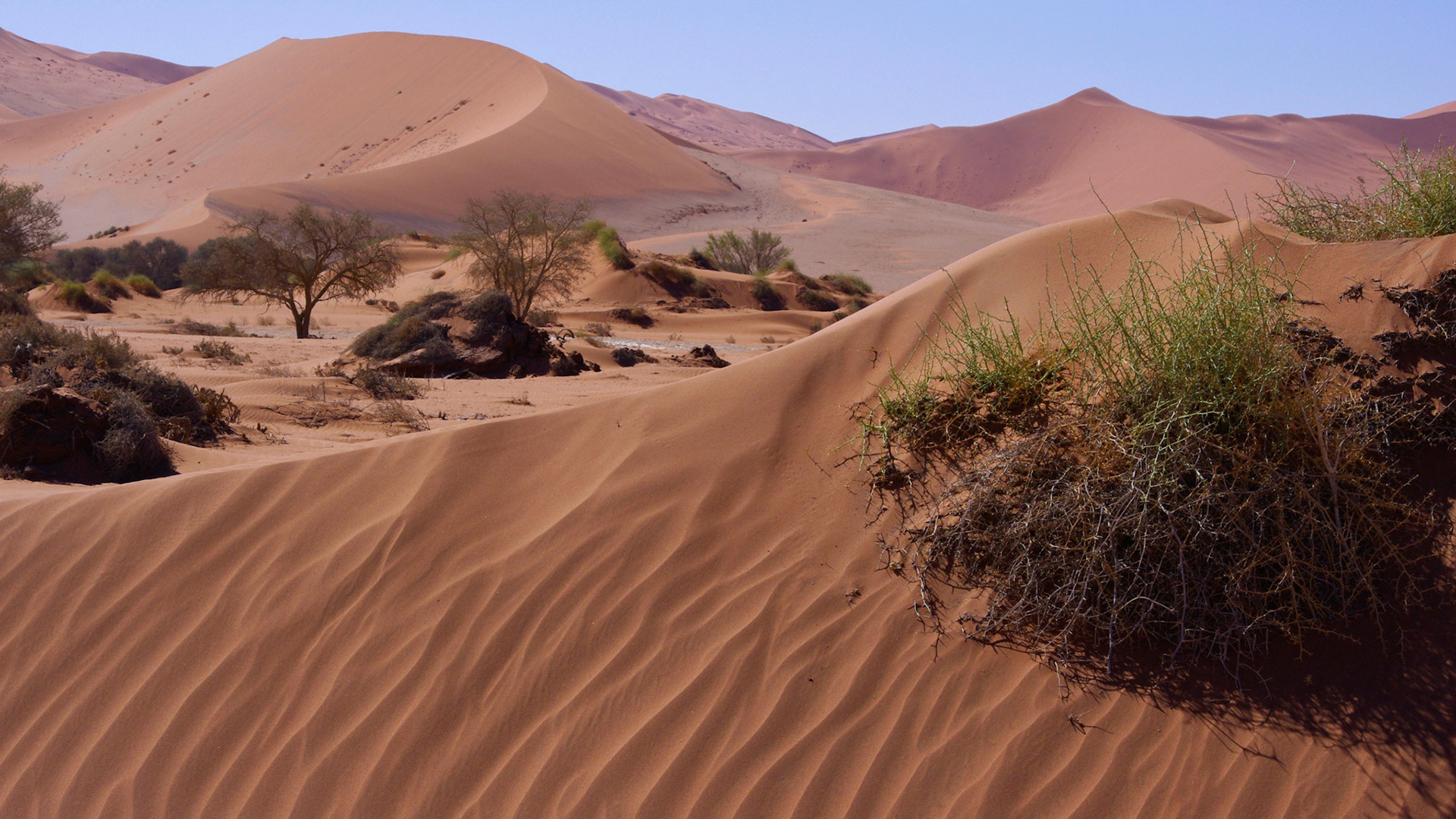 Sossusvlei