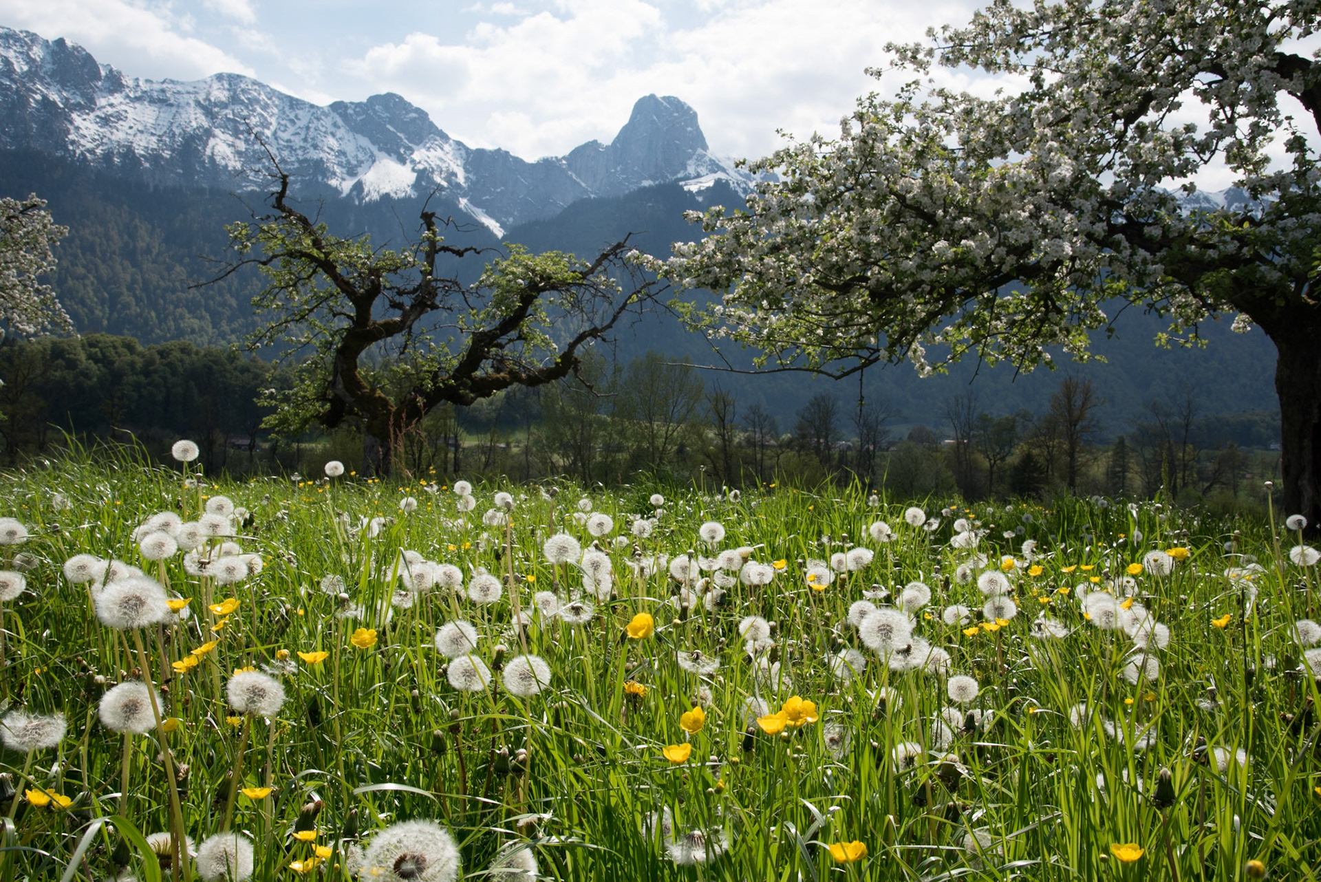 bei Thun