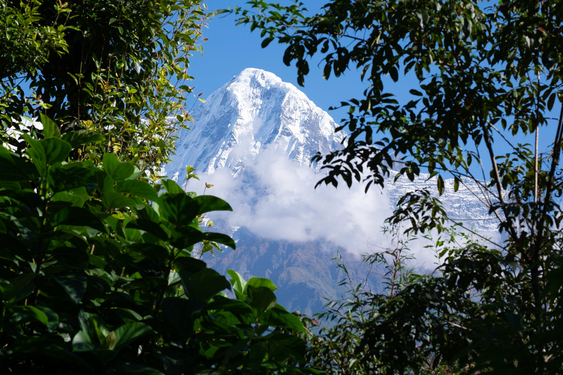 Nepal, Anapurna valley