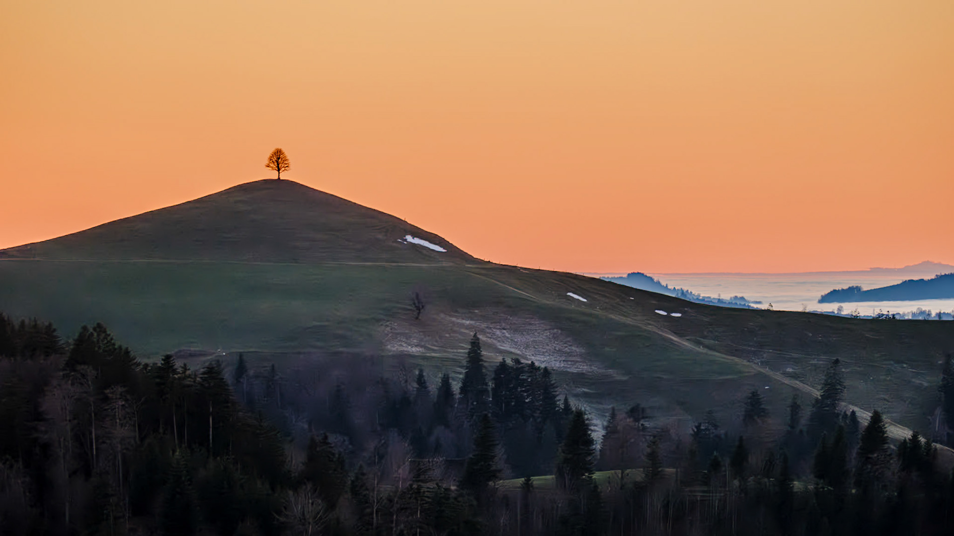 Emmental