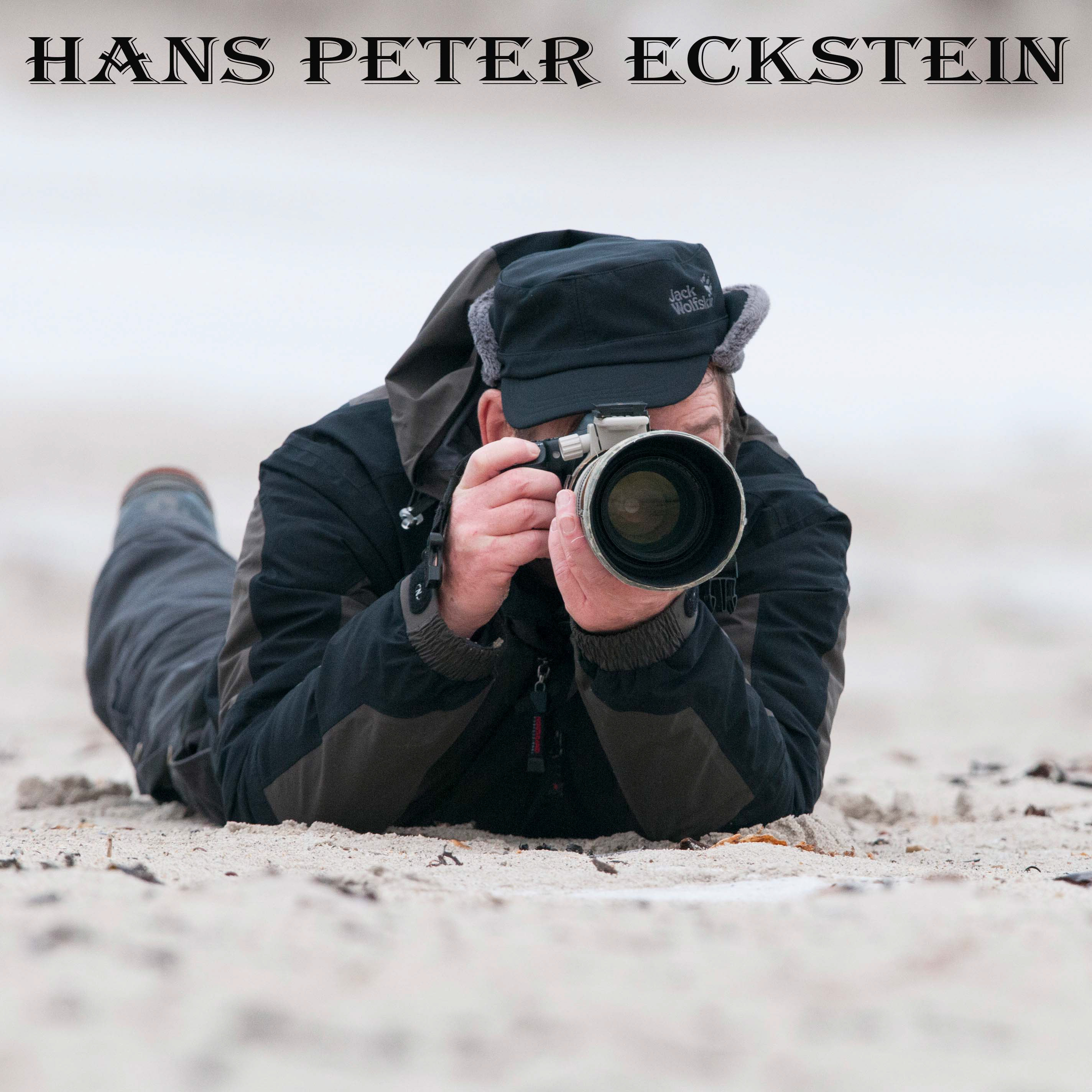 Hans Peter Eckstein